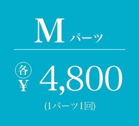 Mパーツ 各4800円